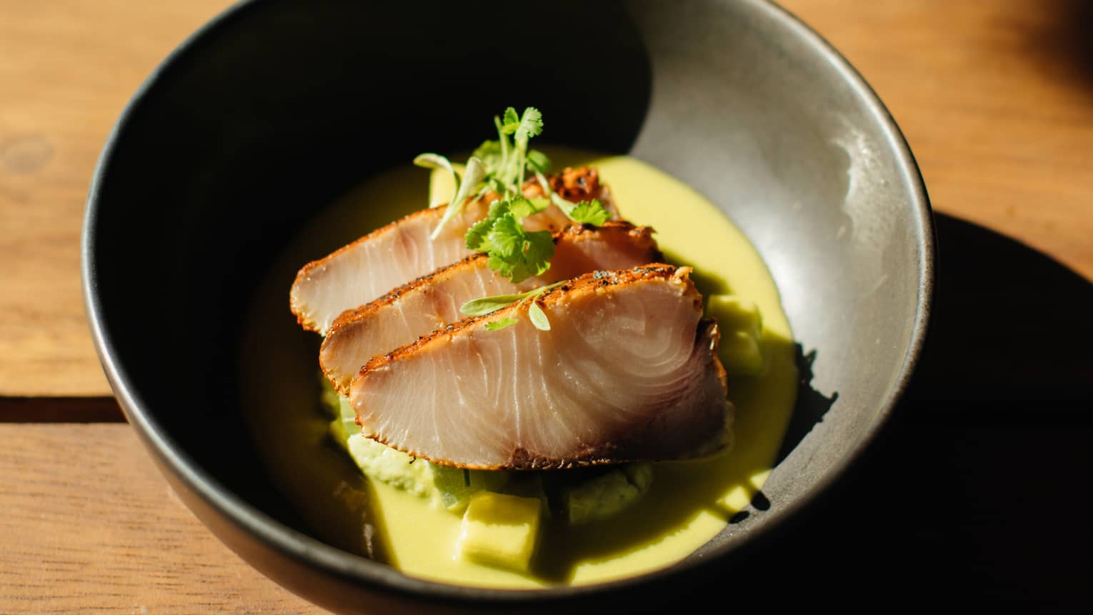 Cured fish in a pastor sauce with cilantro.