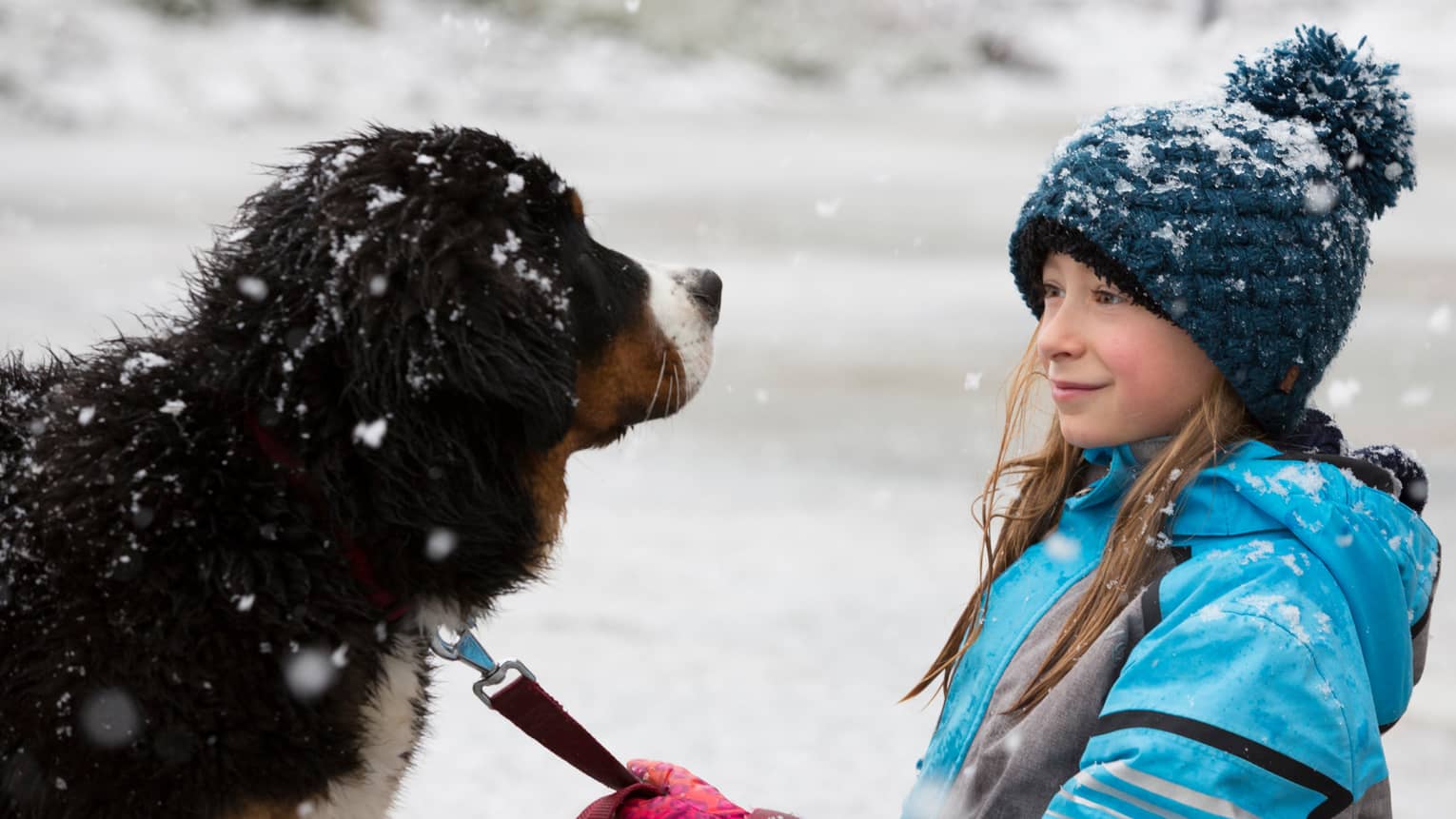 Young girl with knit hat holds leash of large dog as snow falls