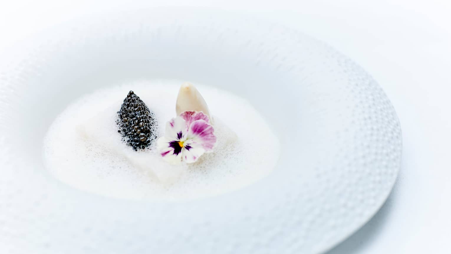 Caviar, purple flowers in white foam in dish