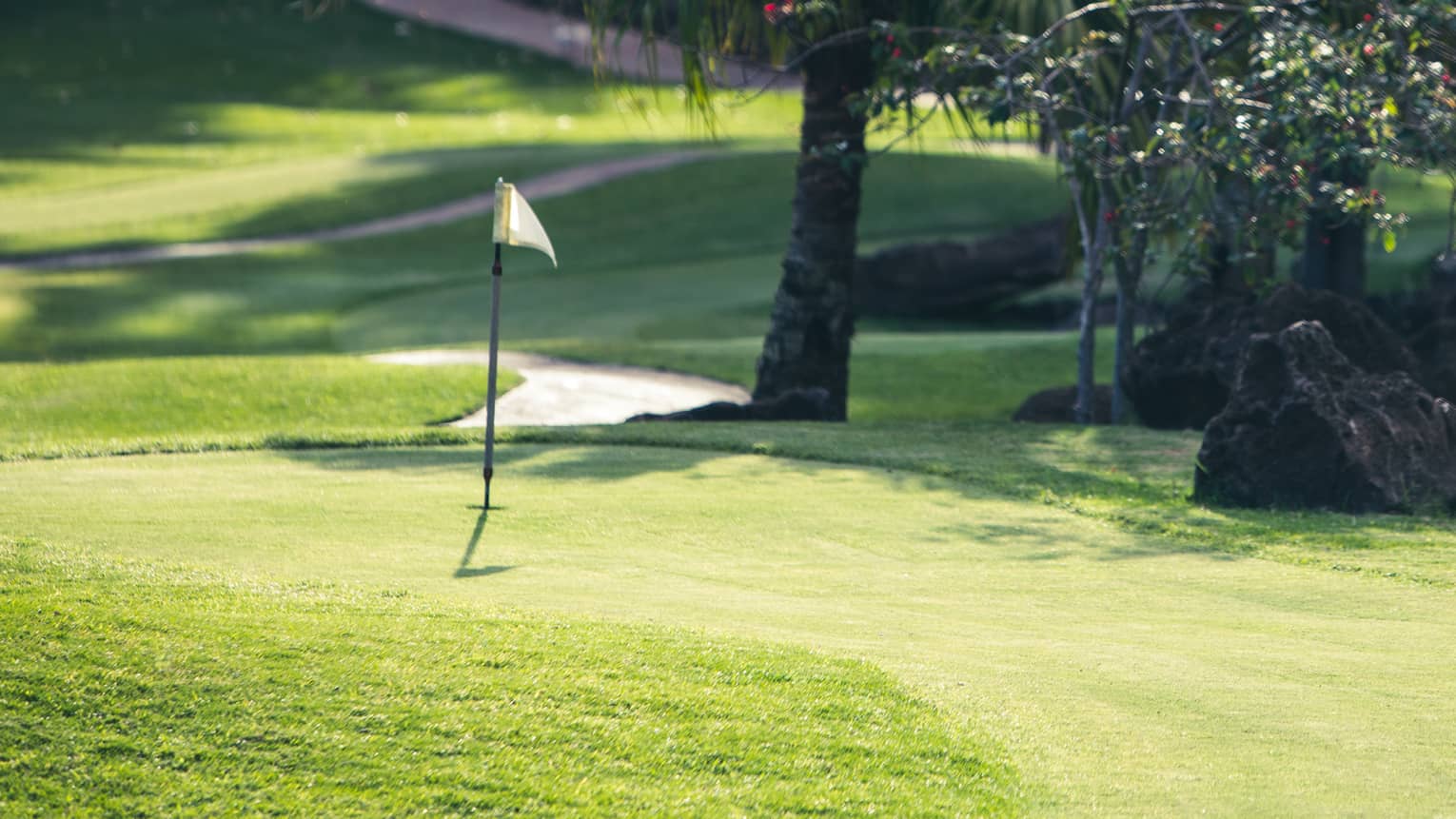 Golf course surrounded by palm trees and large rocks