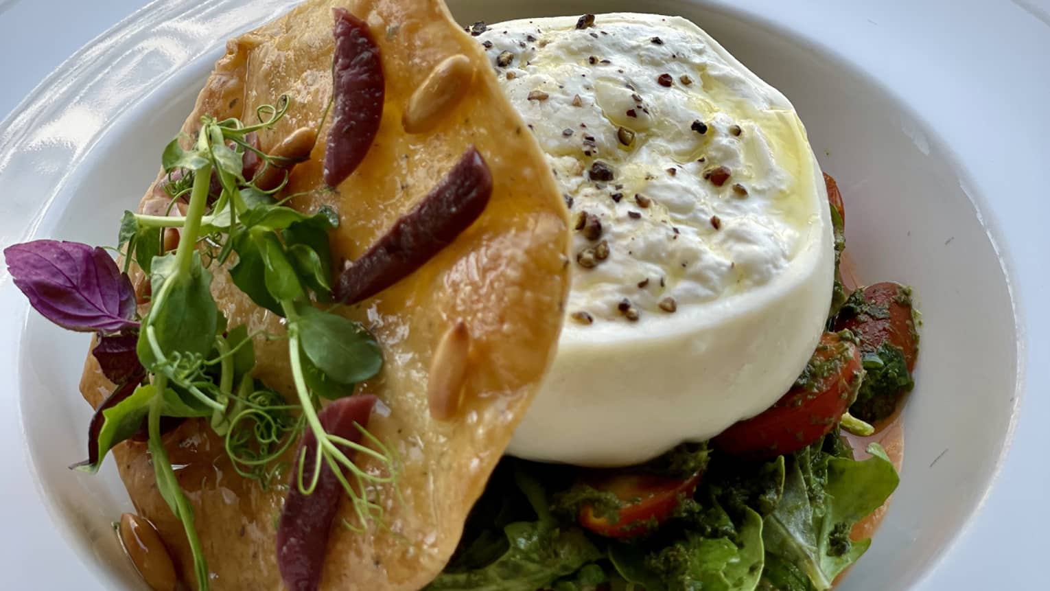 Burrata with arugula salad, tomato coulis, pesto, black olives and pine nuts served with a fennel cracker on a white plate