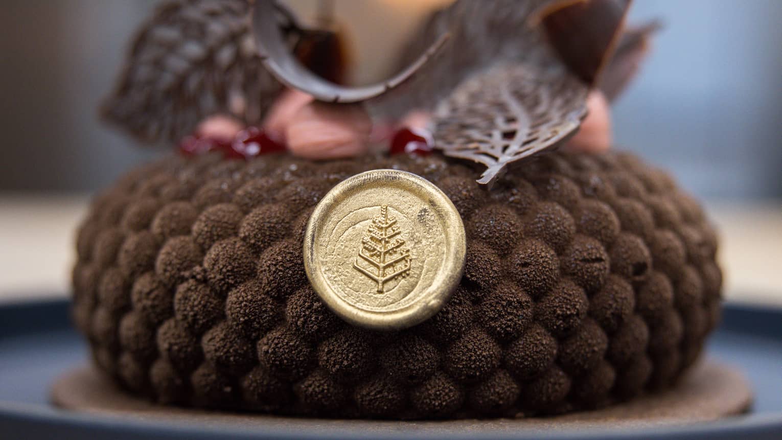 Gateau wrapped in chocolate spheres and topped with chocolate leaves with a gold Four Seasons seal on side