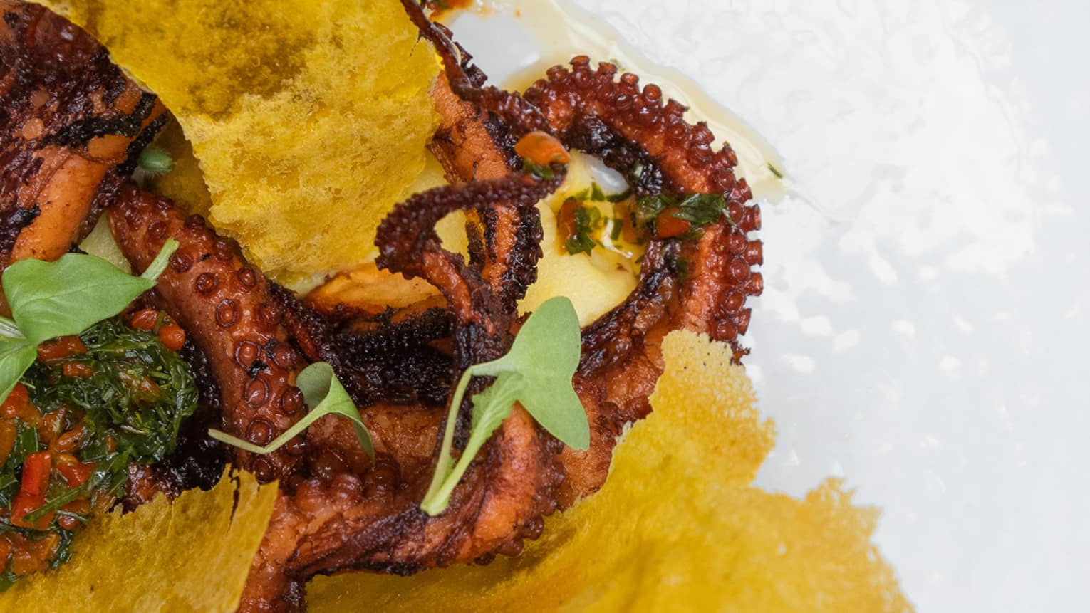 Fried octopus with fried cheese stuck in it, all served on a white plate.