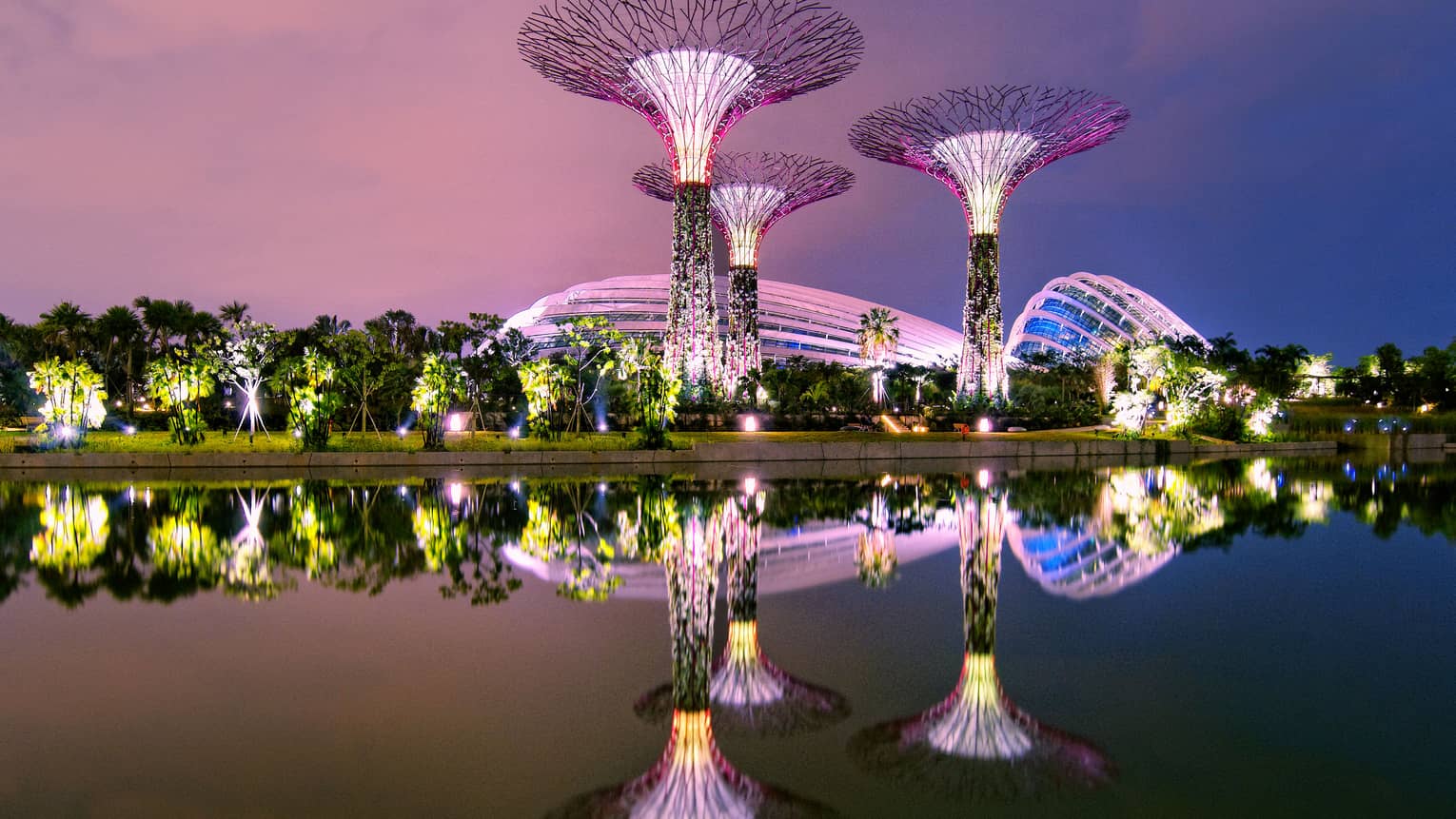 Gardens by the Bay in Singapore reflected in the water at night