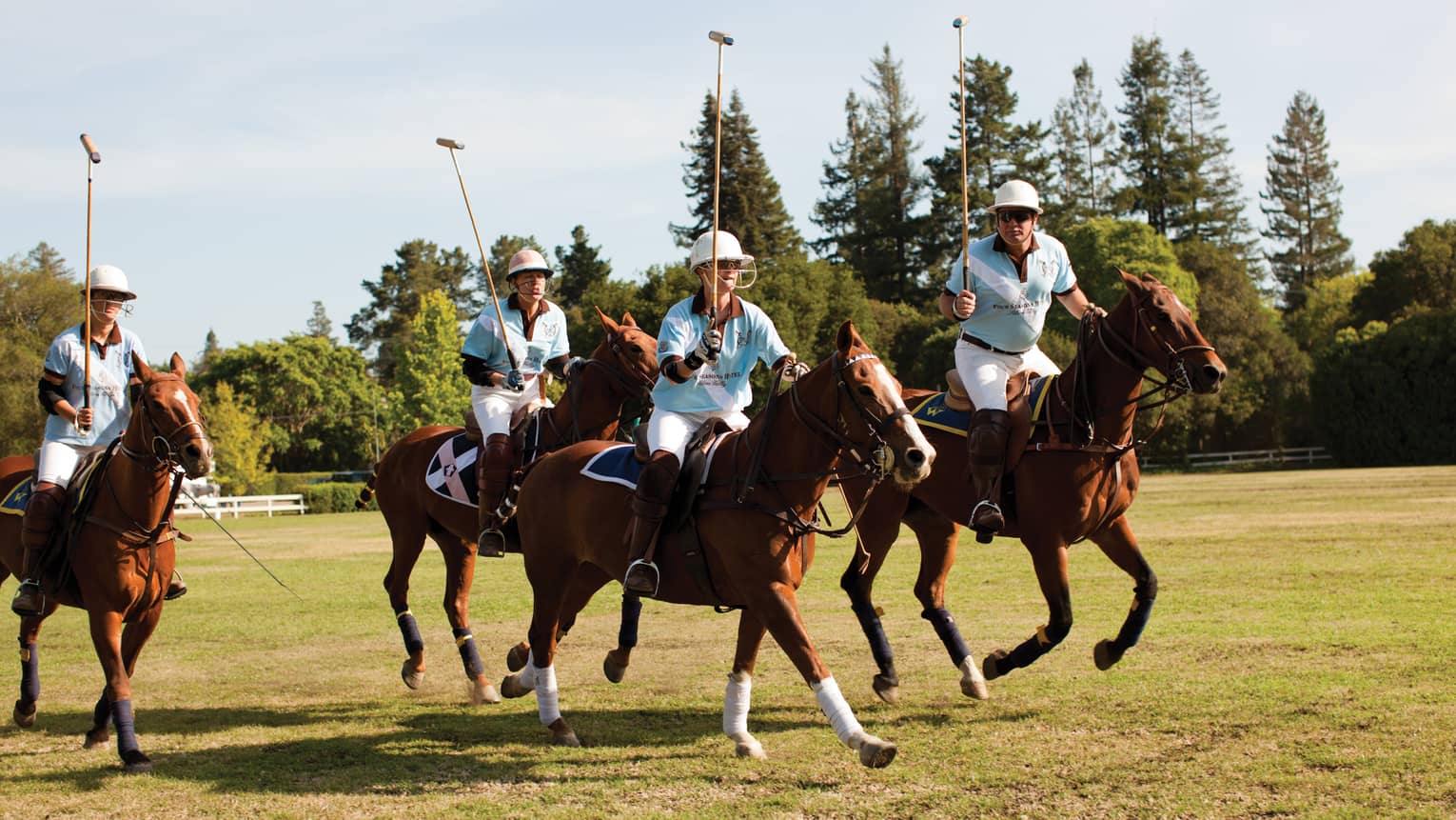 Group of polo players riding horses on green lawn