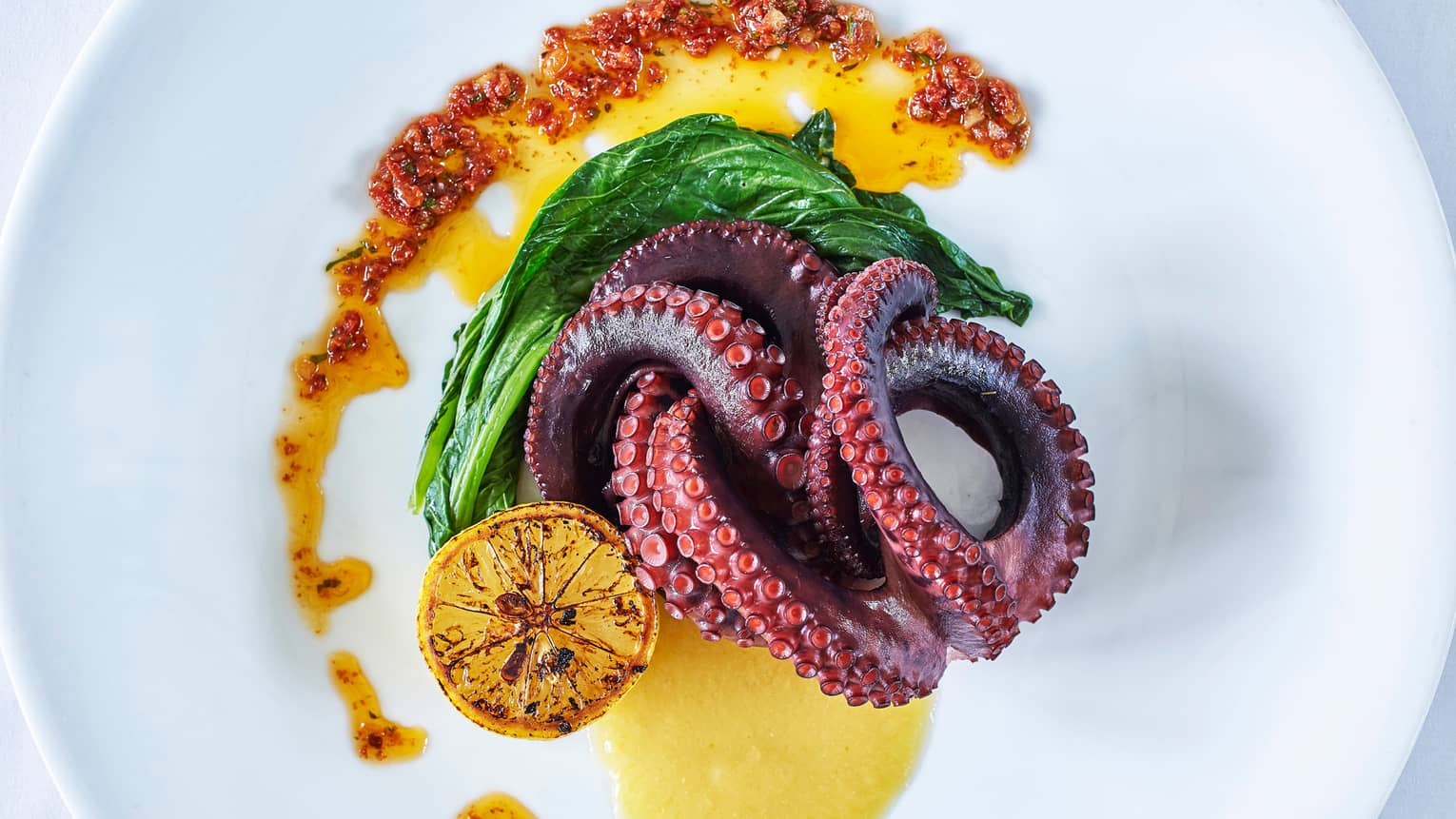 Roasted octopus legs intertwined on plate with roasted lemon, greens, sauce 