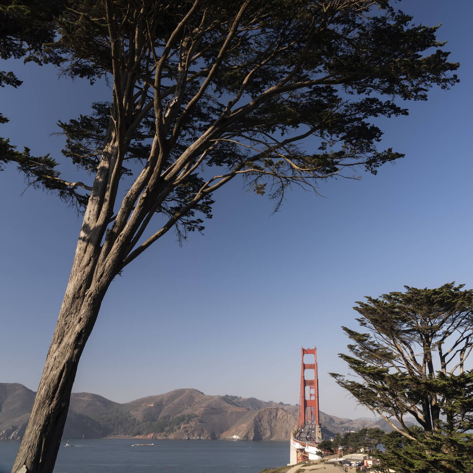 Long view of the Golden Gate bridge framed by towering trees in the foreground, rolling rockface mountains in the background.