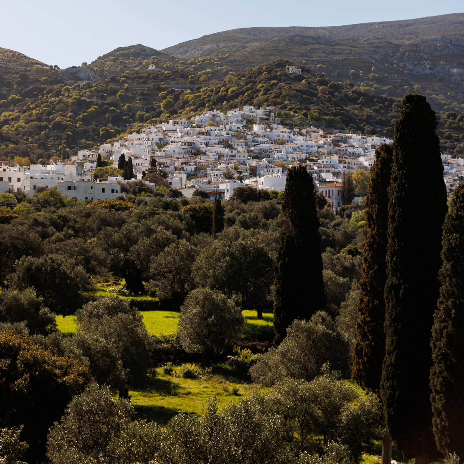 A cluster of white buildings nestled into the rolling sunlit hillside and surrounded by fields and trees. 