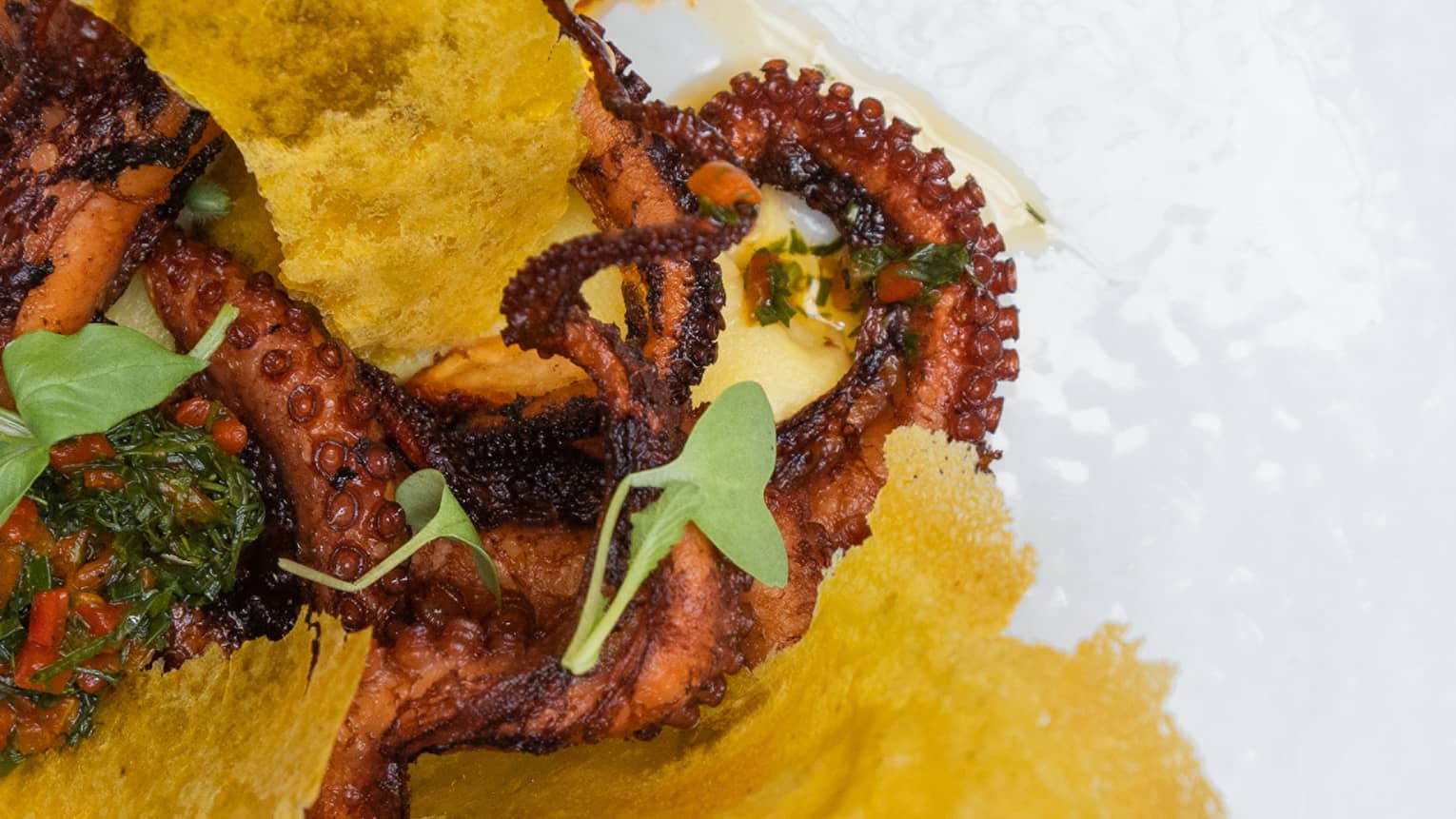 Fried octopus with fried cheese stuck in it, all served on a white plate.