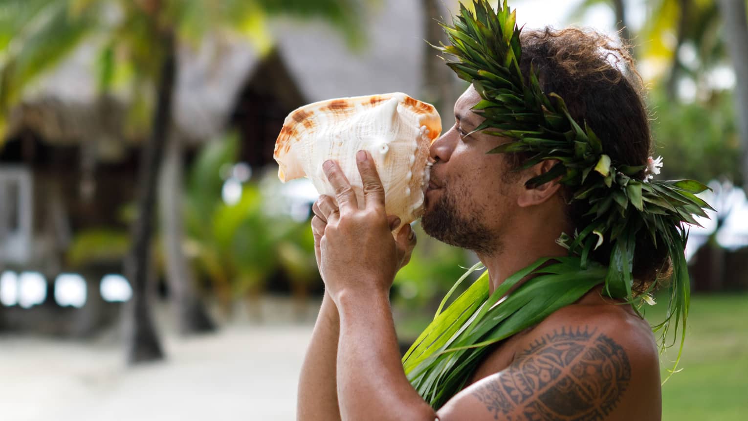 Tahitian man holds large sea shell to his lips on resort garden path