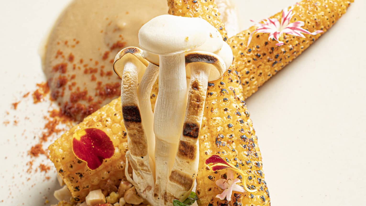 Jagung Pangung