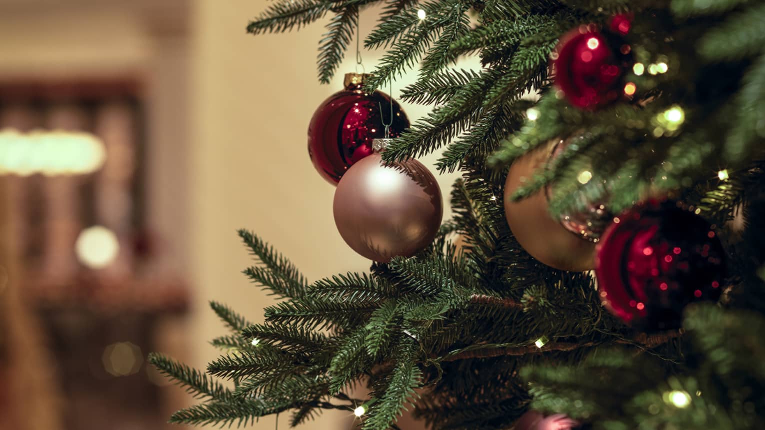 The side of a Christmas tree with gold and red ornaments.