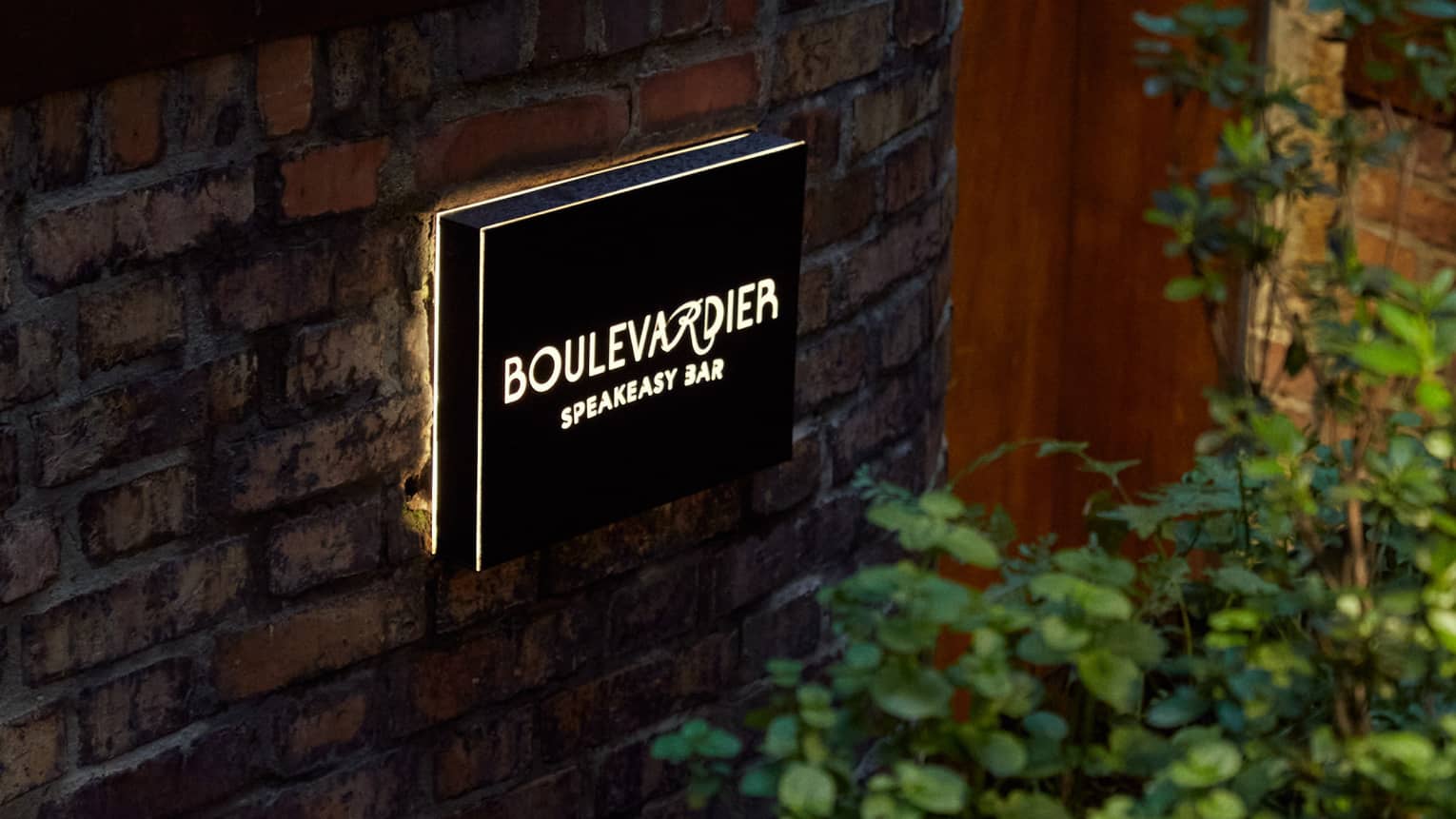 A plant next to a brick wall with a sign for a lounge.