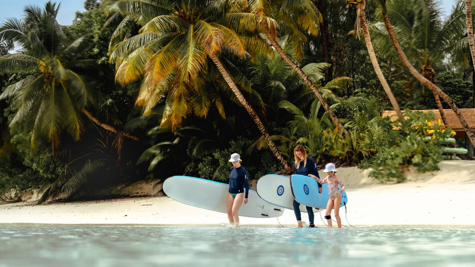 Two adults carrying surfboards accompany a child into the calm water, sandy beach and palm trees behind them. 