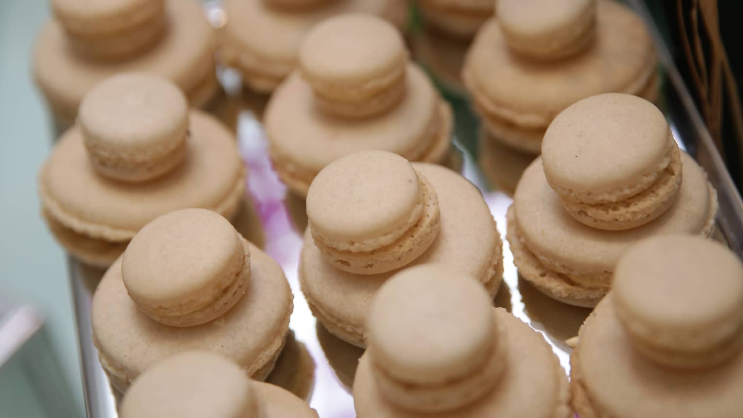 Tray of delicate macaroons 