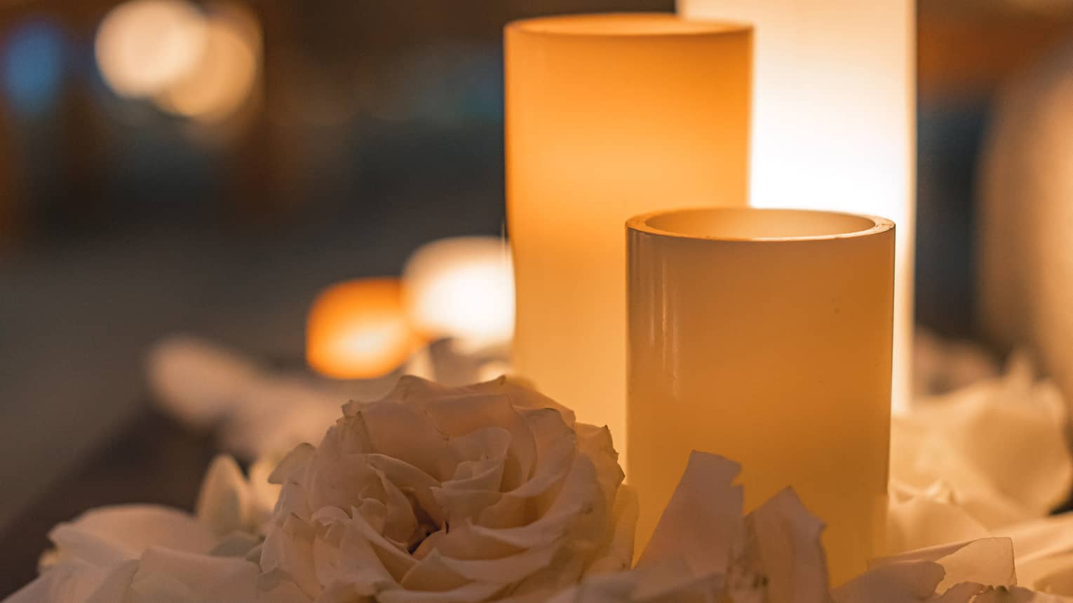 A row of white candles sitting on white flowers and flower petals.