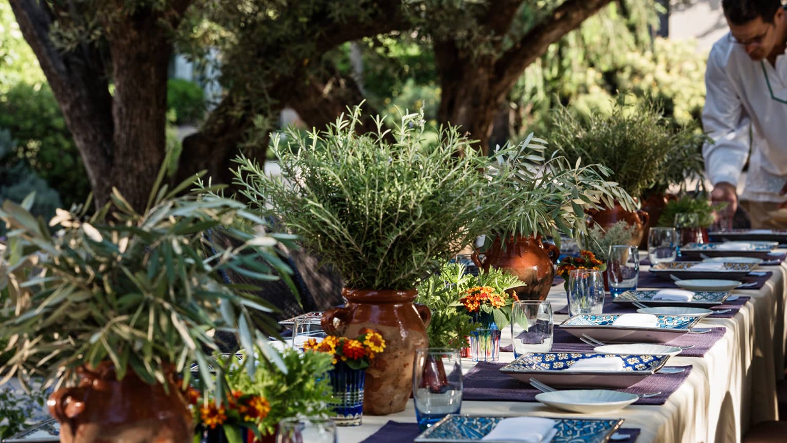 Close-up of long outdoor garden dining table set with large brown clay pots with fresh herbs