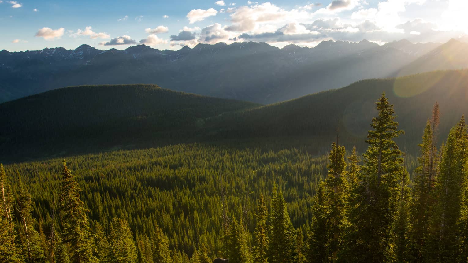 Person sits at edge of cliff overlooking trees, mountains as sun starts to set