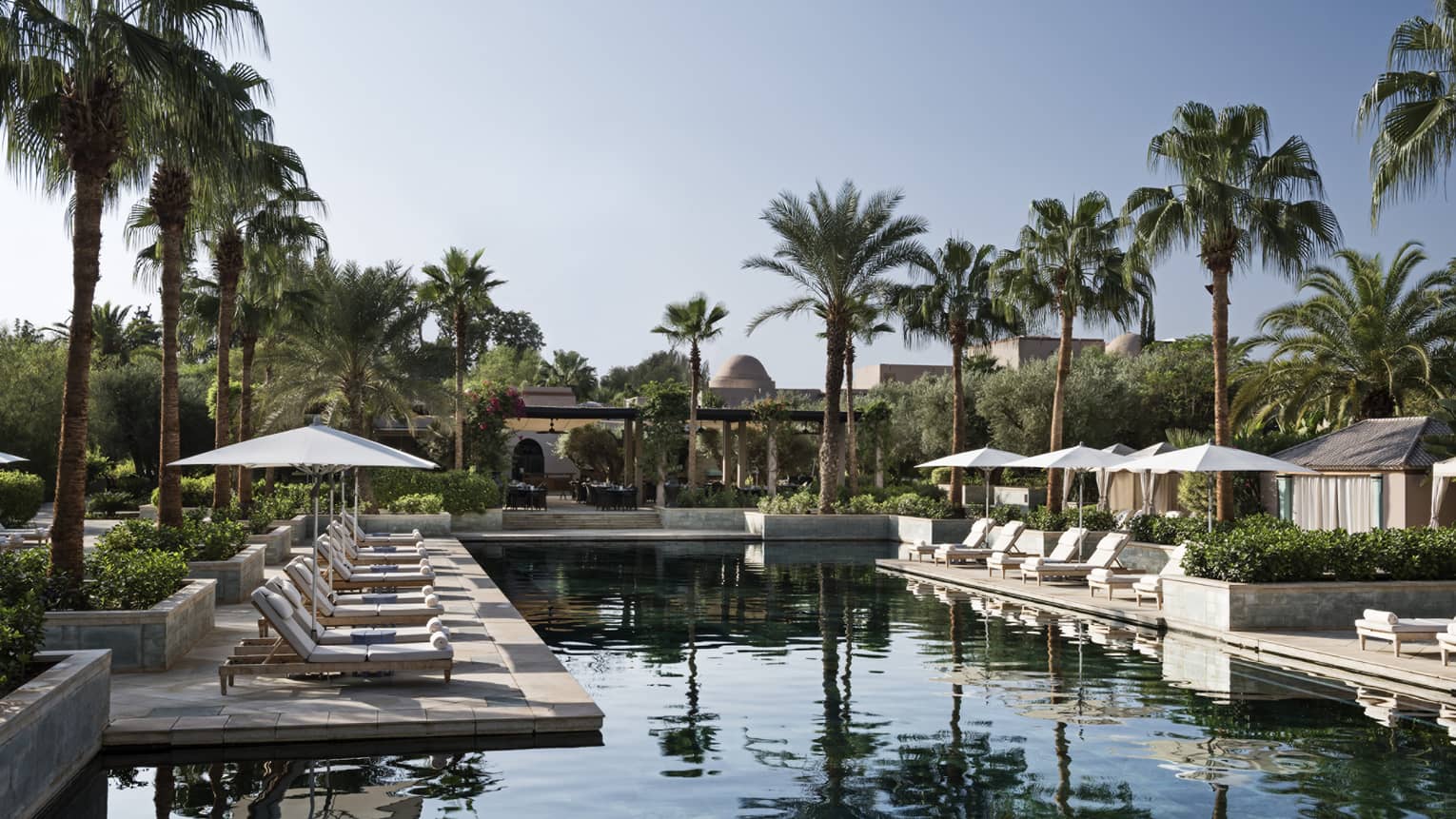 Tall palm trees over outdoor swimming pool and patio with rows of lounge chairs, umbrellas 