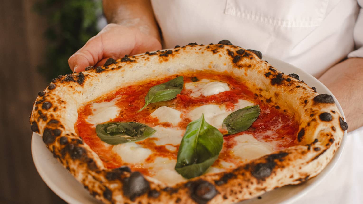 Chef in white chef?s coat holding plate with a wood oven?roasted pizza garnished with whole basil leaves