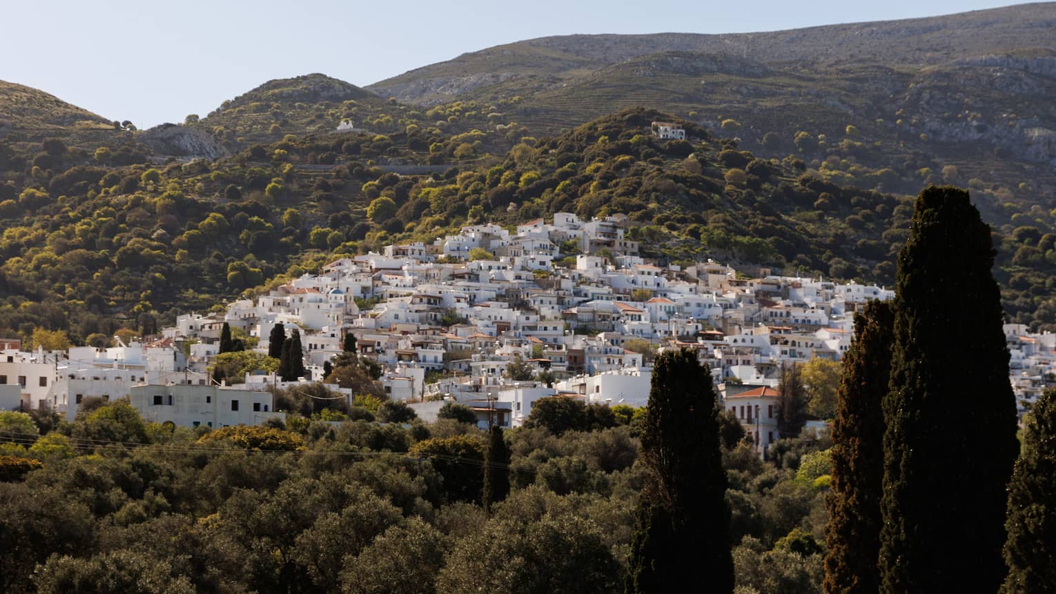 A cluster of white buildings nestled into the rolling sunlit hillside and surrounded by fields and trees. 