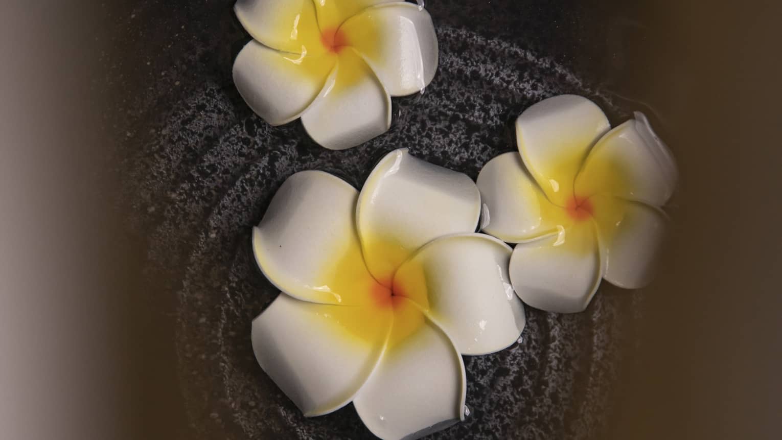 Three flowers in bowl at luxury hotel spa