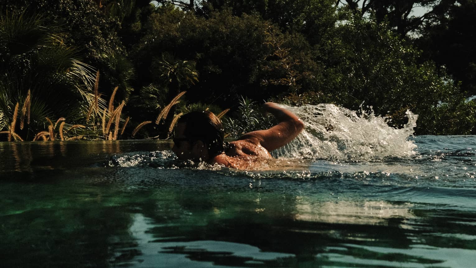 Person swims in pool next to trees