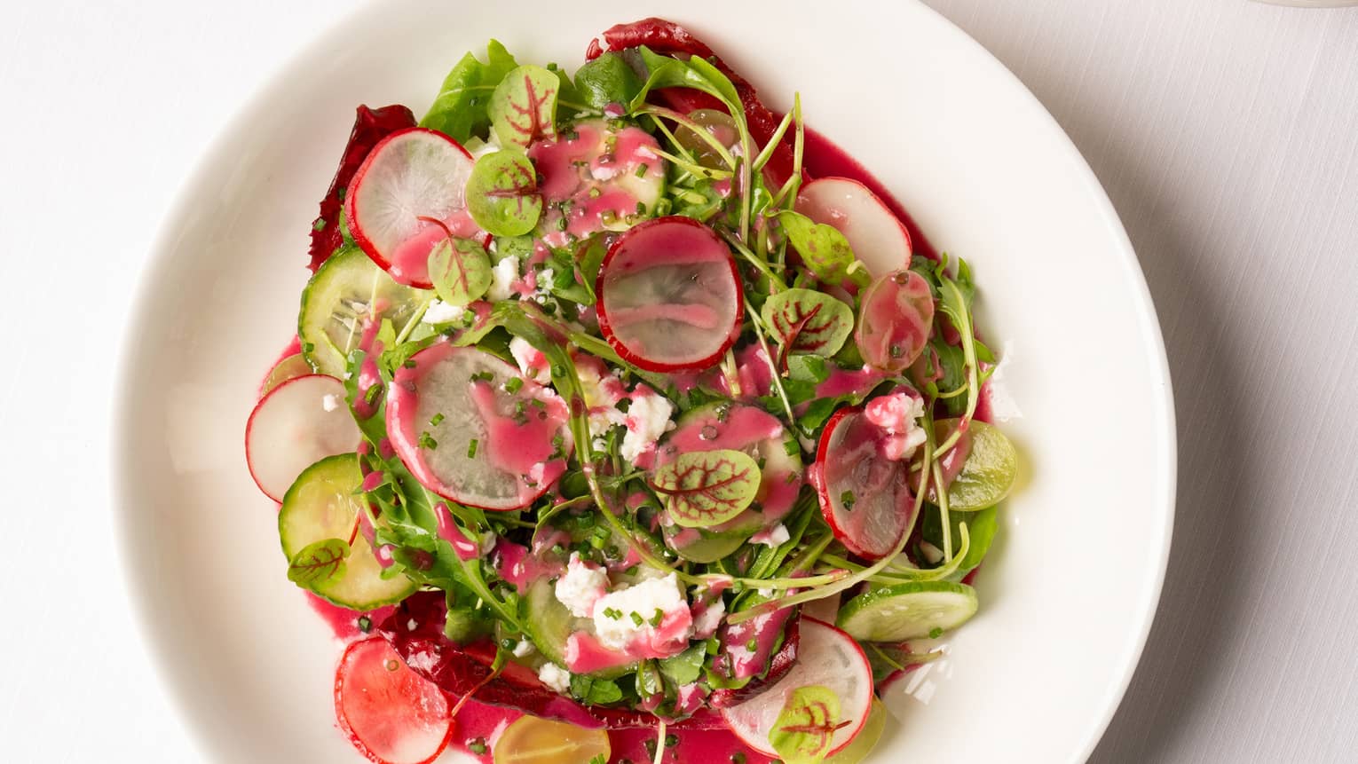A garden salad consisting of a mix of greens, sliced radish, sliced cucumber and drizzled with a red dressing is served on a white plate