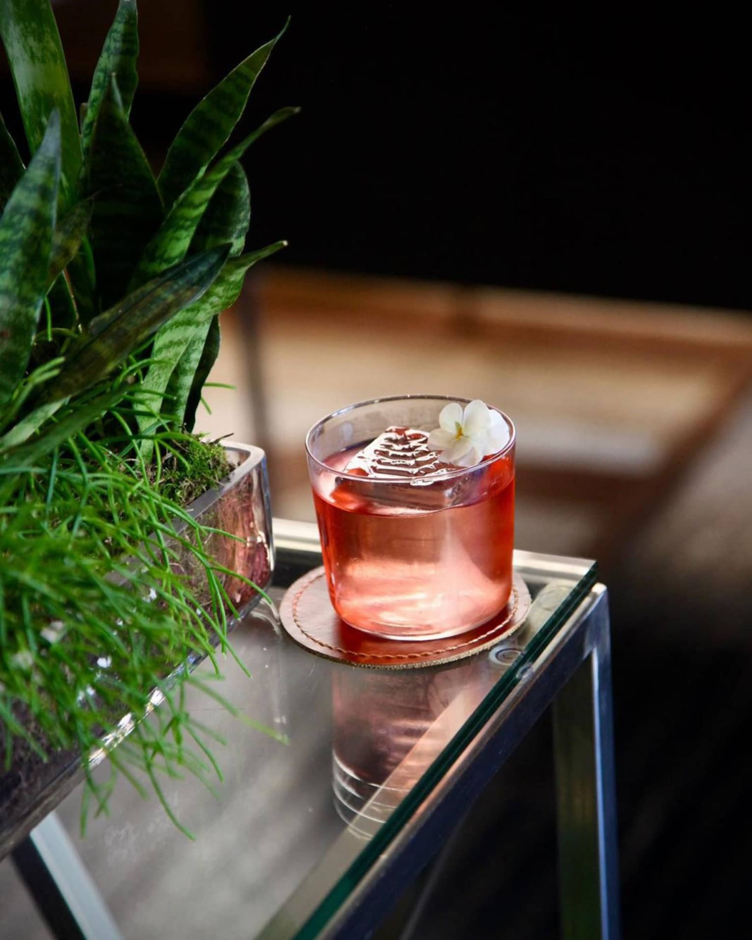 Pink cocktail in old fashioned glass with flower garnish set on coaster on glass table beside a plant