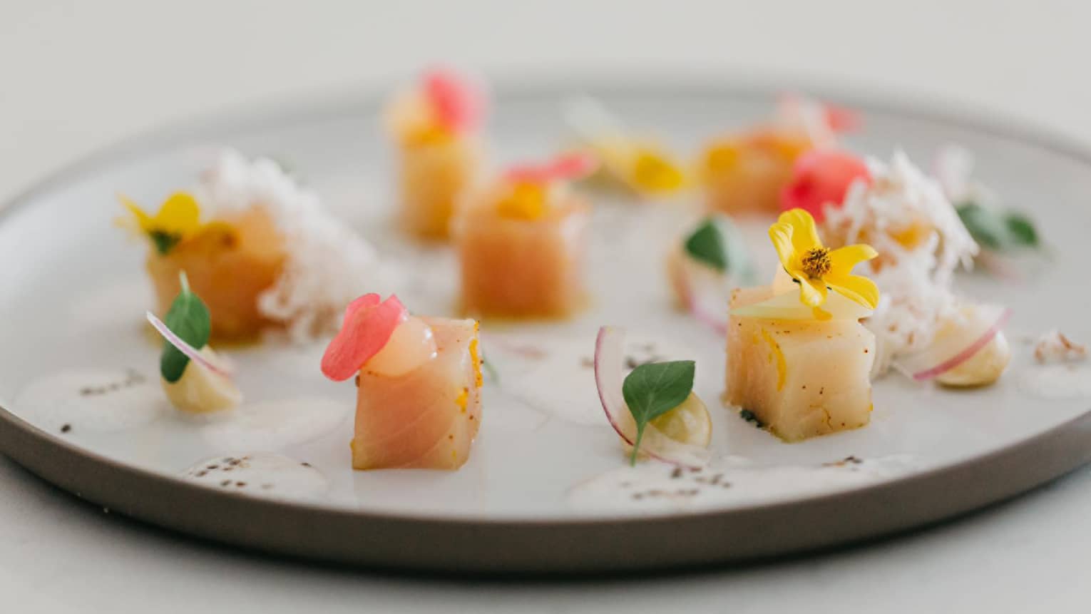 Close-up of raw sushi cubes on plate with herb and flower garnish