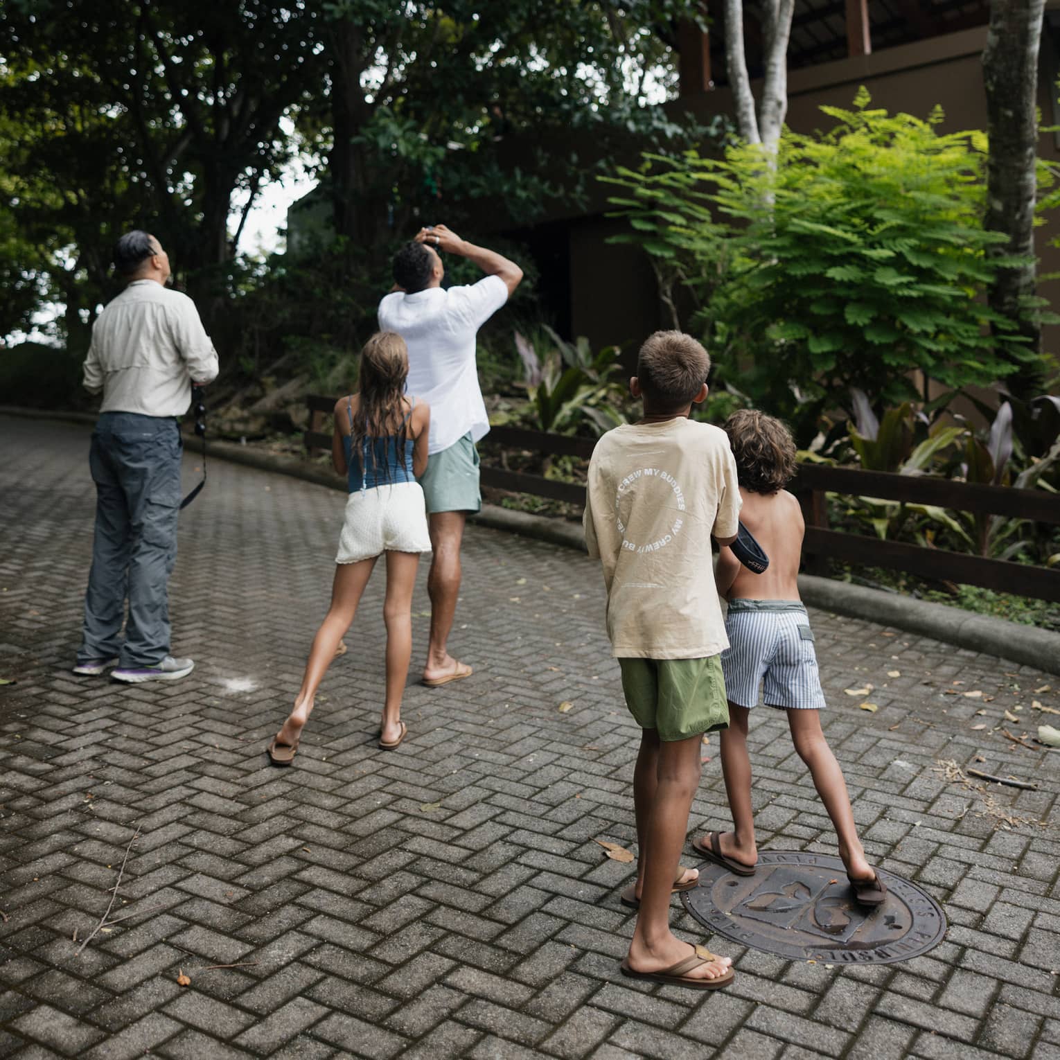 Two adults and three children look up into the trees