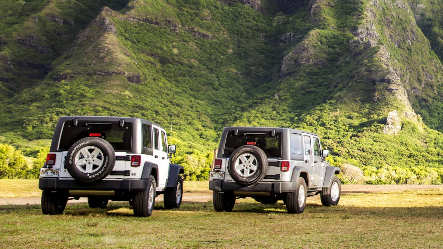 Rear view of three Jeeps and a group of slender palm trees on a grassy plain against a verdant crevassed mountain backdrop.