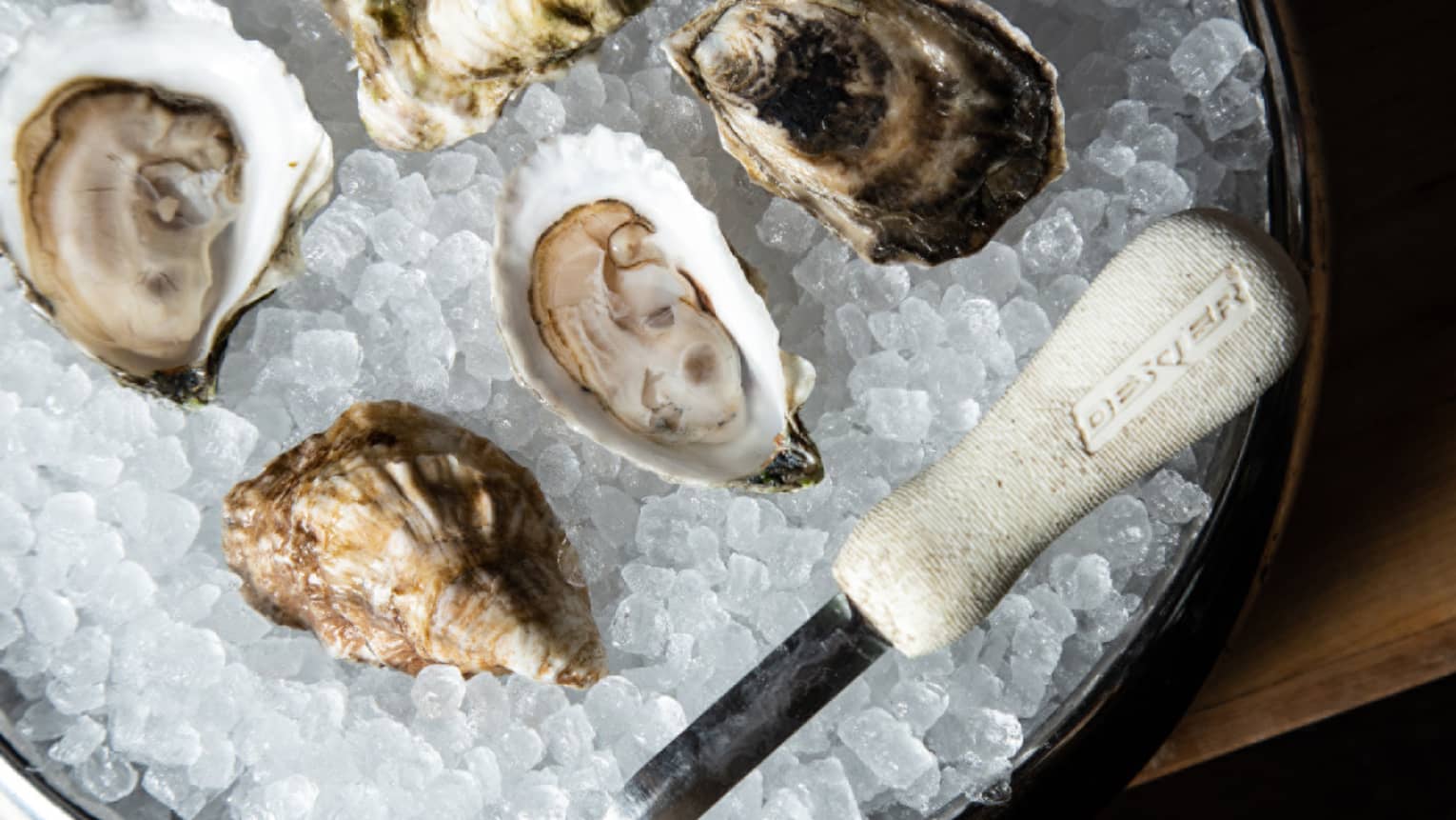 Oysters on ice.