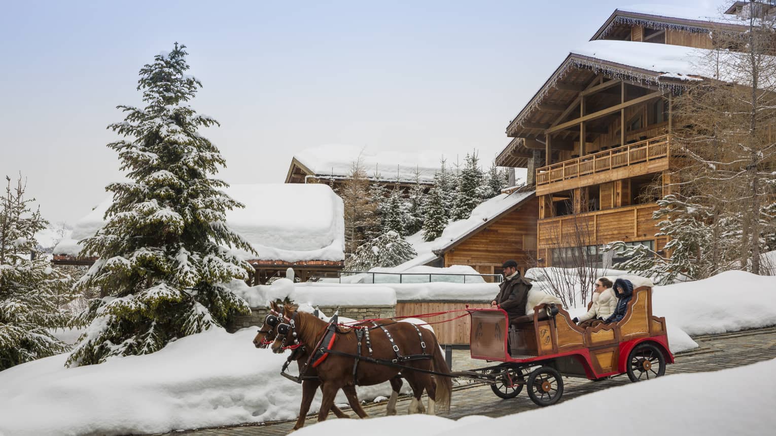 Guest ride in buggy pulled by two horses down path from rustic wood lodge