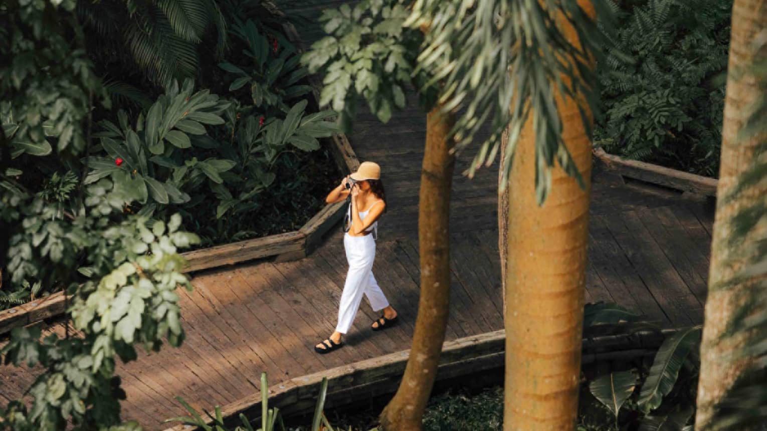 A person walks on a nature pathway in tropical forest