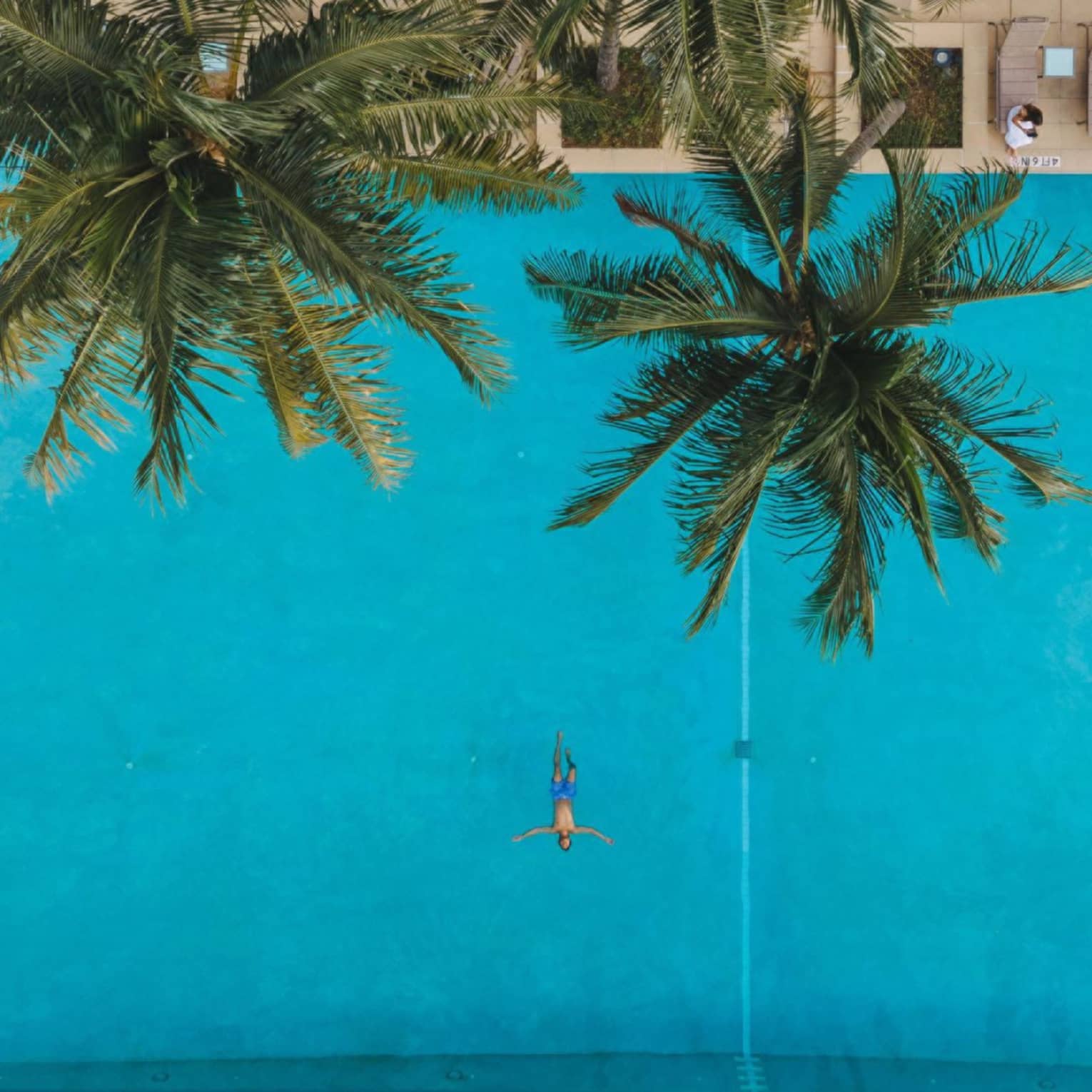 Aerial view of a person floating on their back in a pool beside palm trees 
