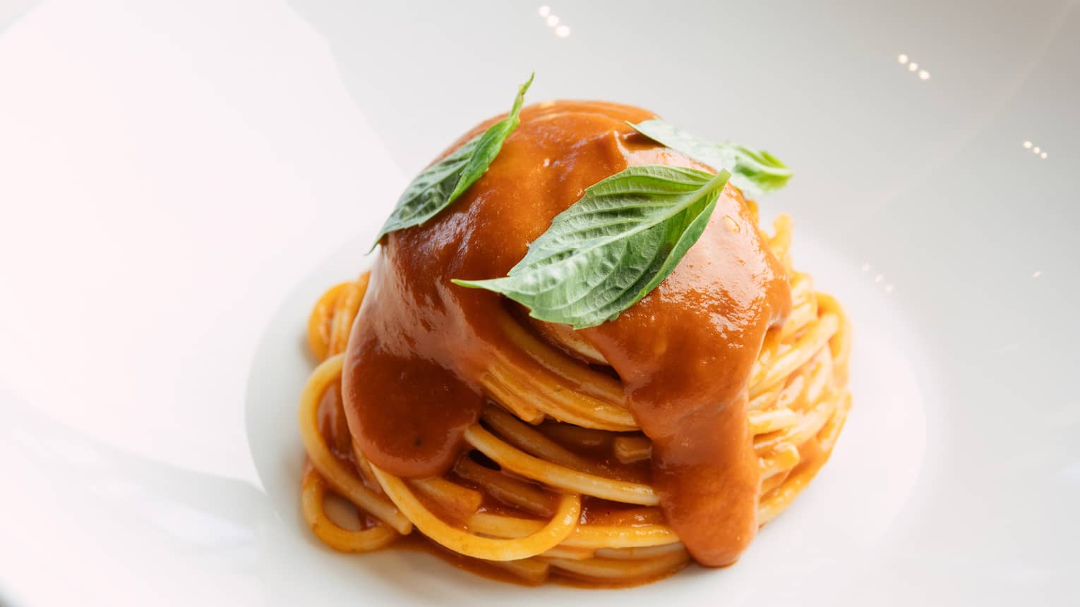 Spaghetti with tomato sauce
