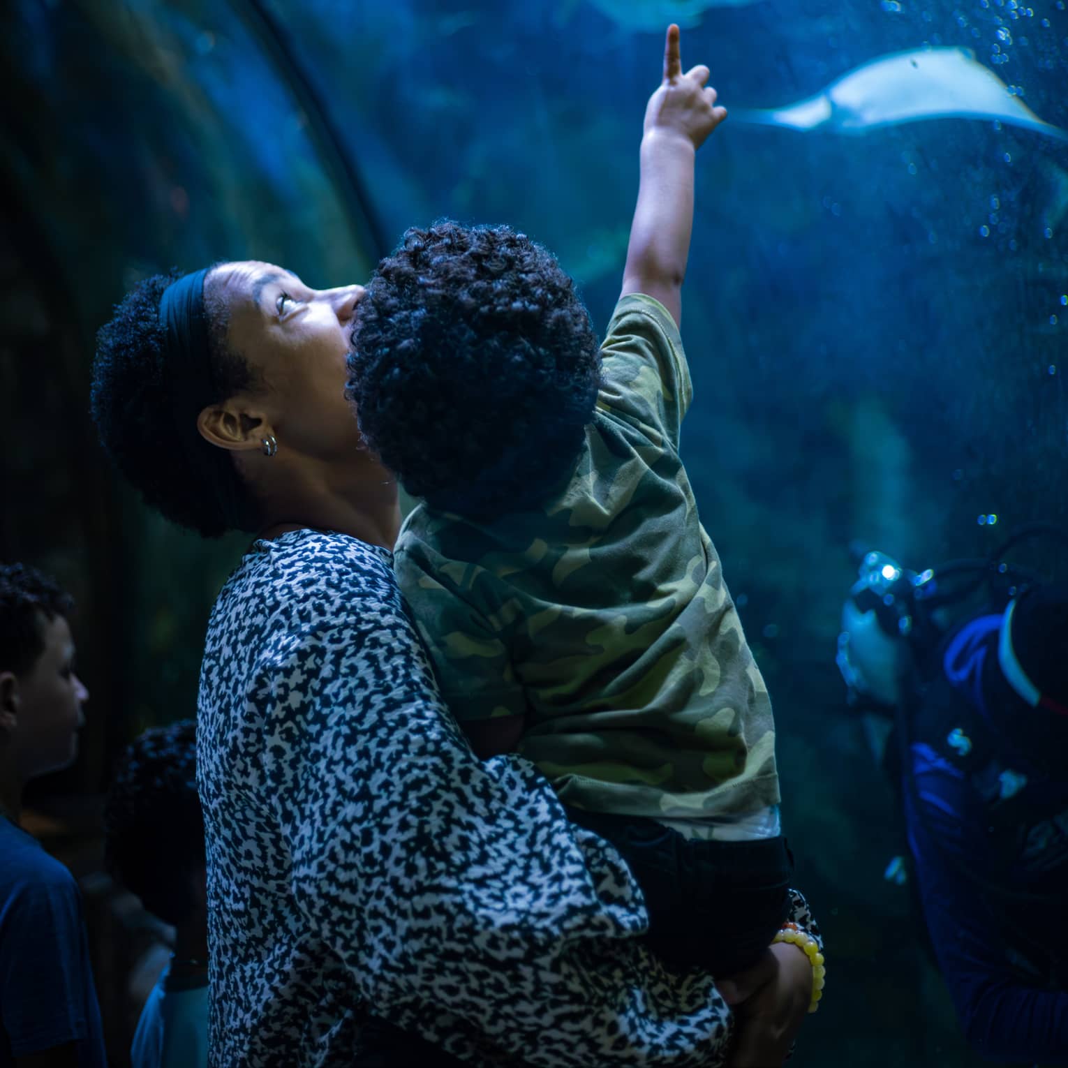 View from behind of a parent holding a toddler who is pointing upward at two stingrays in a bubbly, deep-blue aquarium.
