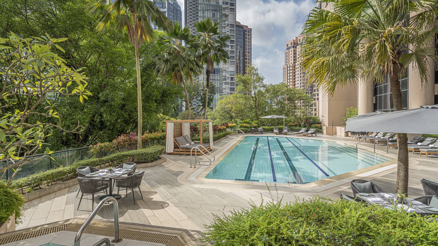 Outdoor lap pool surrounded by palm trees and green foliage, views of downtown Singapore