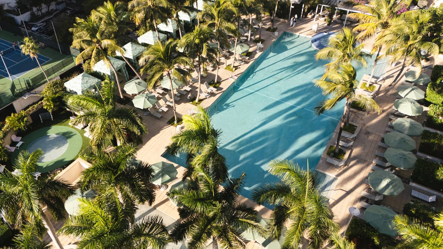 Aerial view of a hotel pool surrounded by palm trees