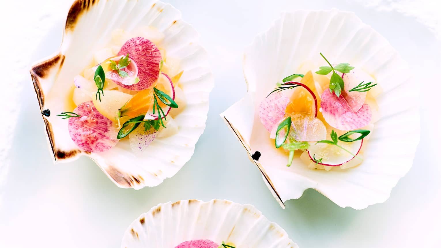 Scallop tartare with herbs plated on large seashells