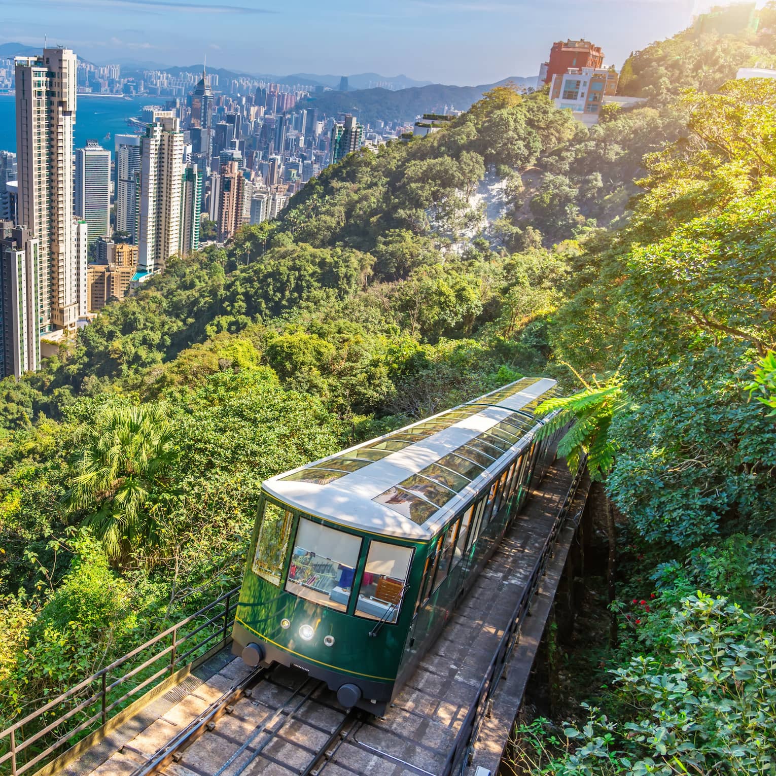 The Peak Tram rises about Hong Kong city on a lush mountainside