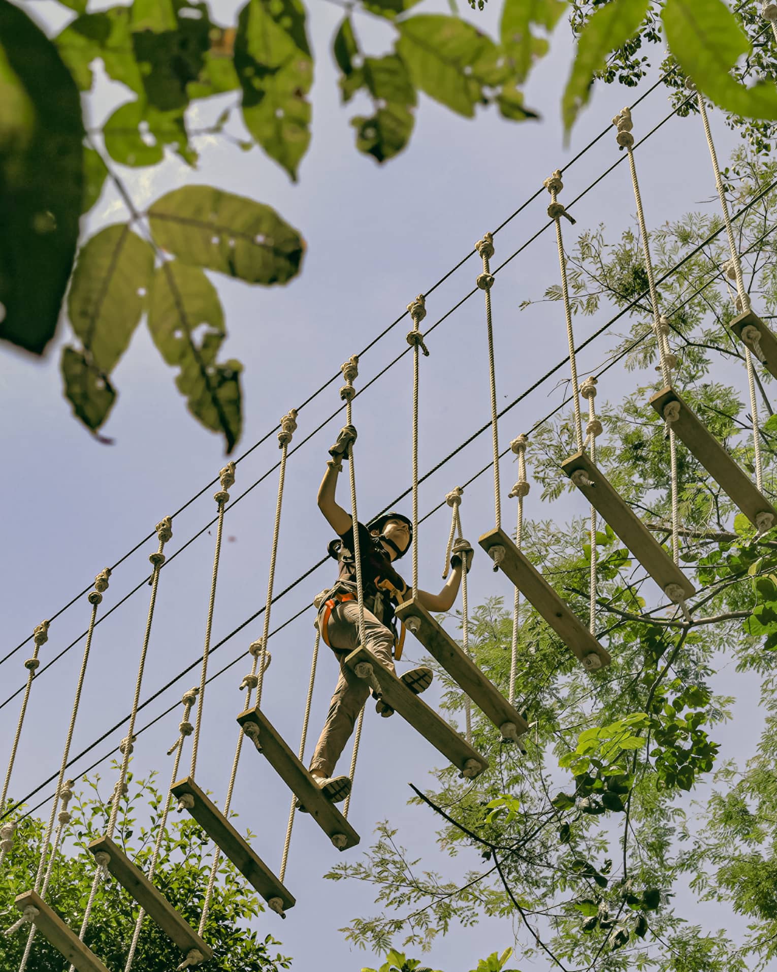 Overhead, a person crosses a bridge of wood planks suspended by ropes high above the forest canopy, surrounded by trees.