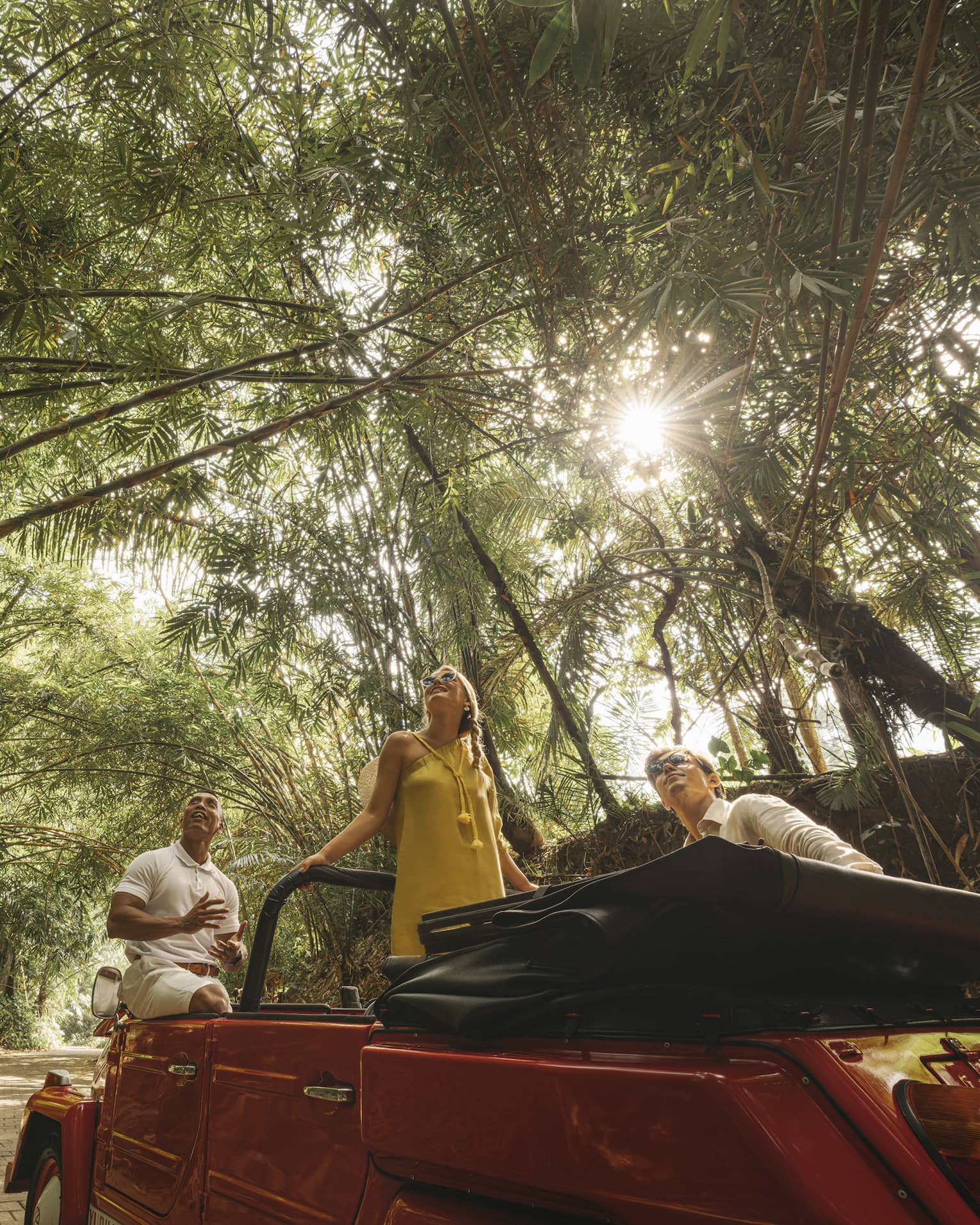 A guide and two guests in a Jeep parked on a brick trail look skyward as sunlight filters through a canopy of palm fronds.