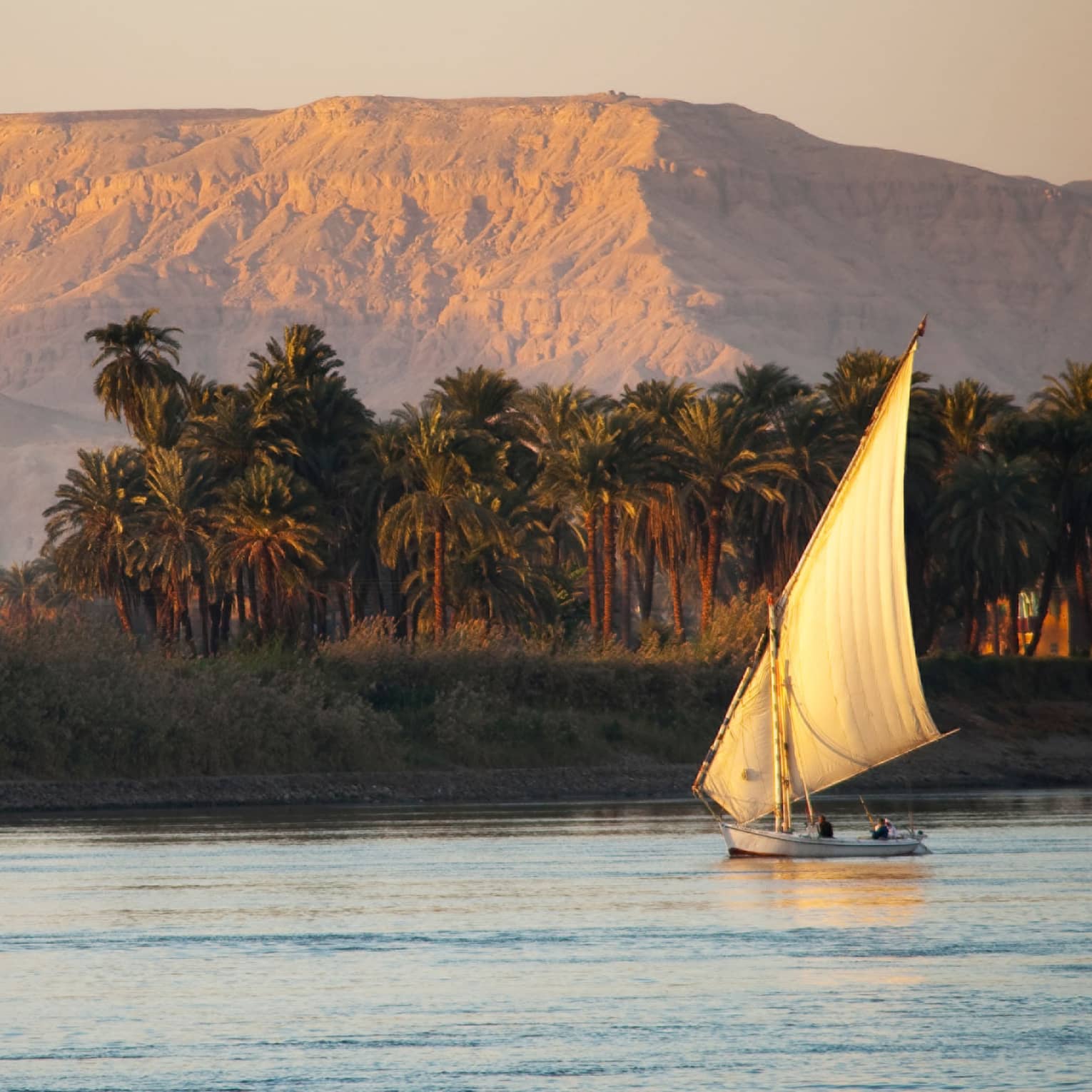 Traditional felucca wooden sailboat on the Nile at sunset 