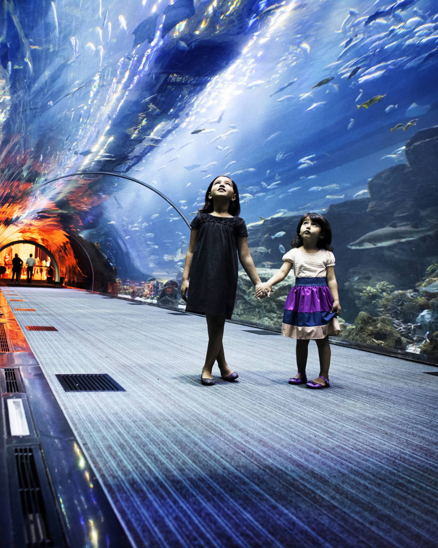 Two children hold hands in an underwater glass tunnel as they gaze at the schools of fish surrounding them in a sea of blue.