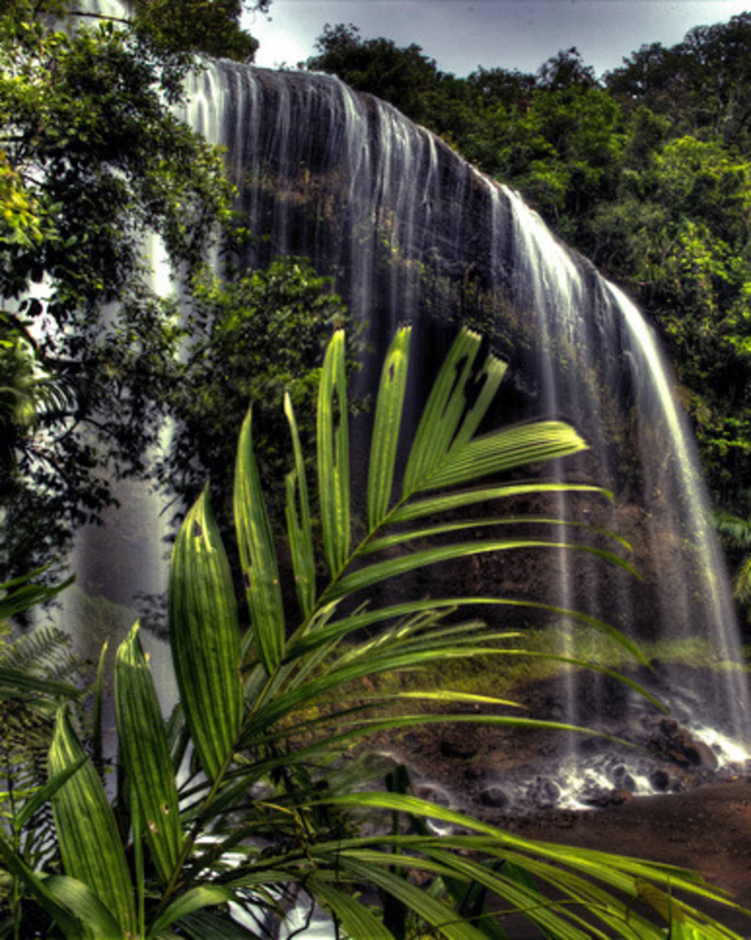 Waterfall in a lush jungle