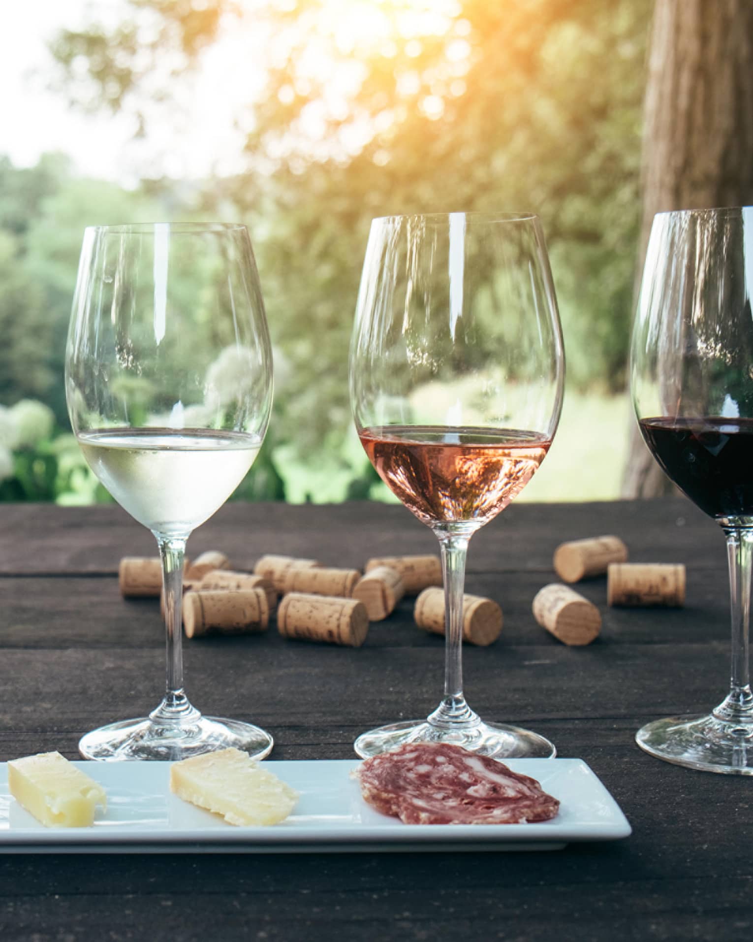 Tasting glasses of white, rose and red wine in row behind cheese platter on patio table, corks
