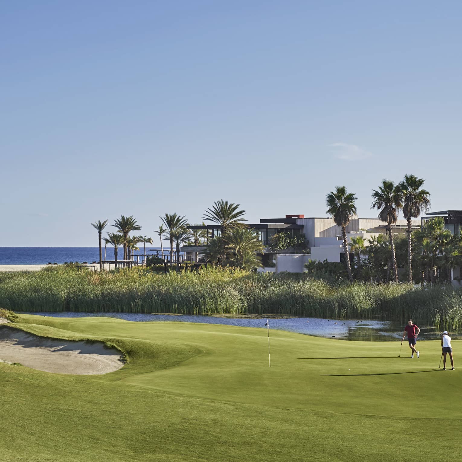 Two golfers putting with the landscape and ocean around them