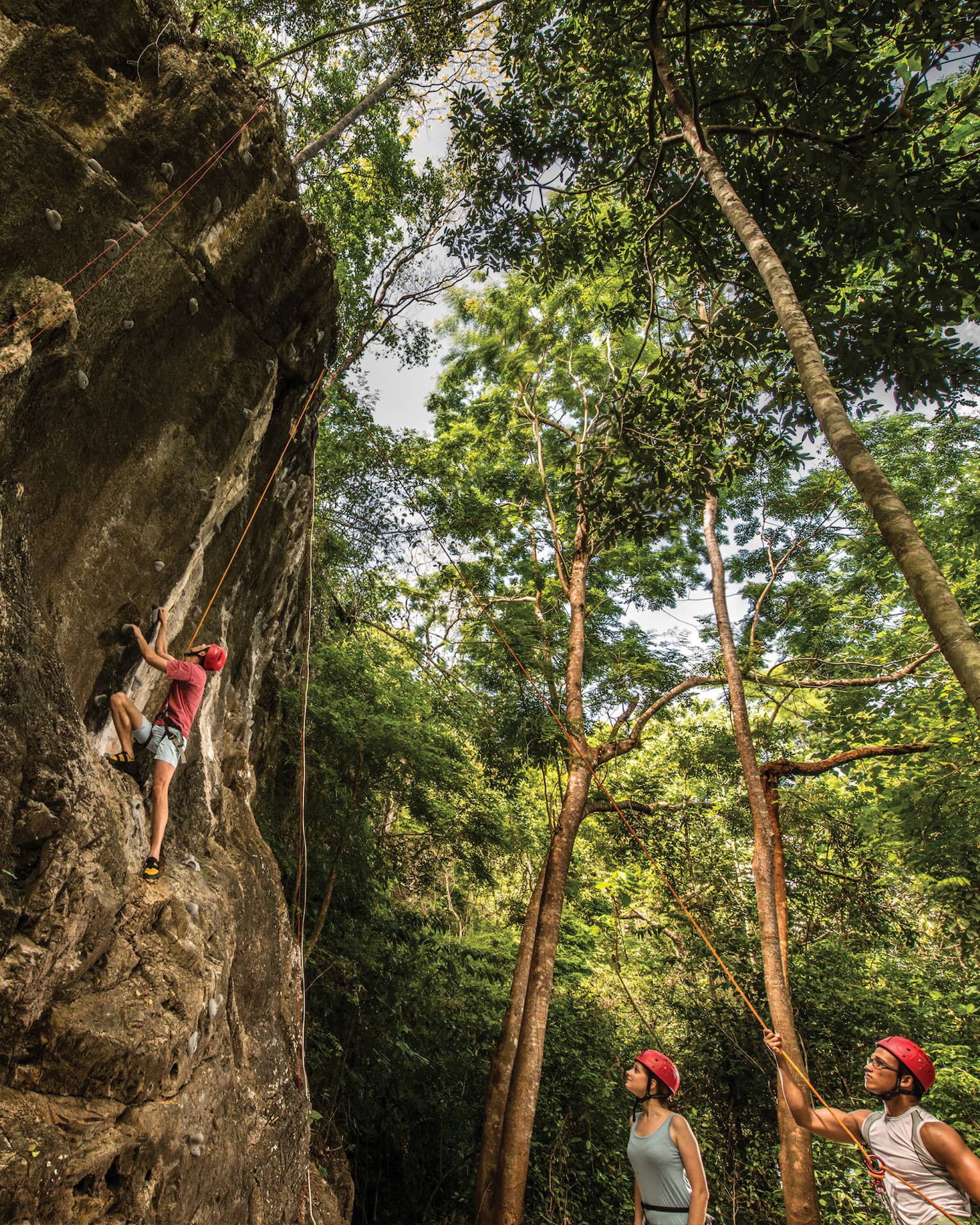 Two climbers in helmets hold climbing ropes and watch another navigate a craggy rock face, surrounded by tall, slender trees.
